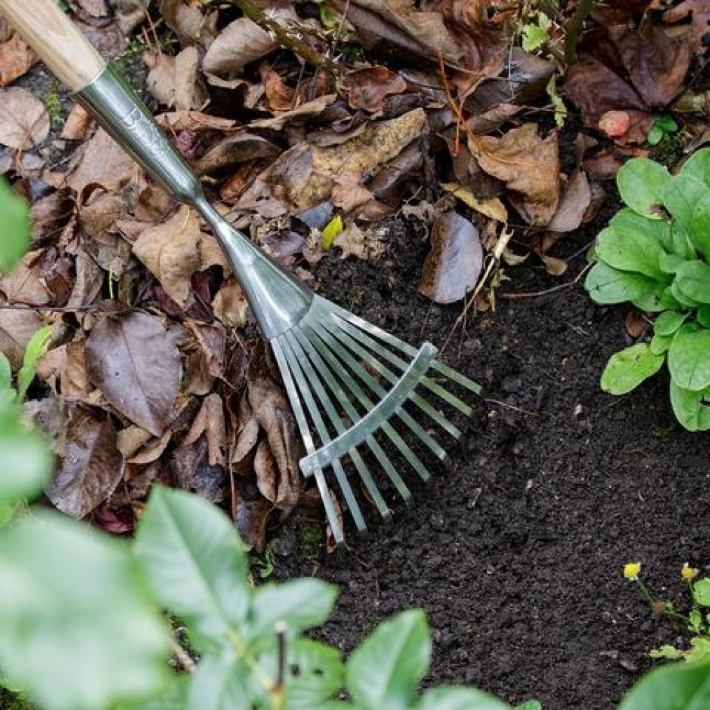 Narrow flat wire rake 9 tines Burgon & Ball - RHS Range