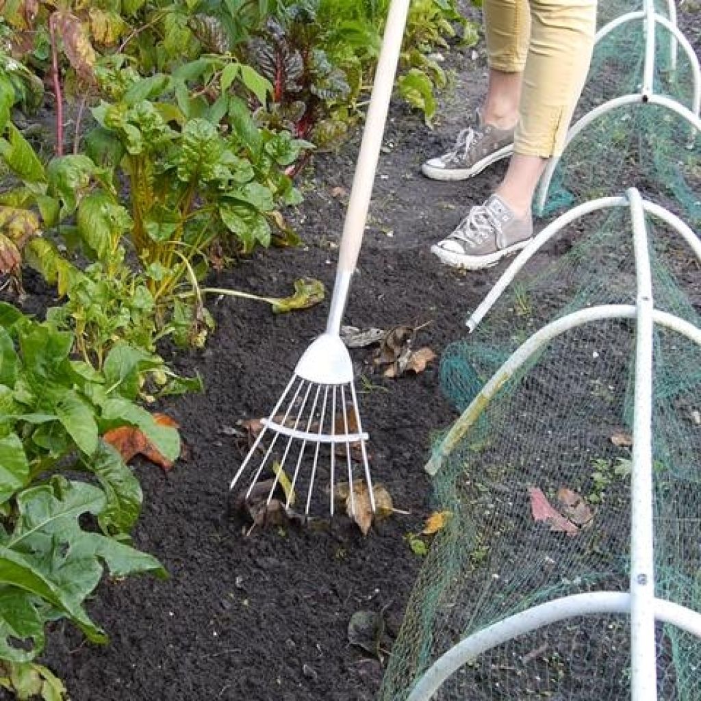 Round-tined 8-tooth Burgon & Ball Broom - RHS range