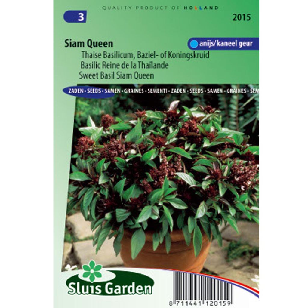 Thai Basil Siam Queen