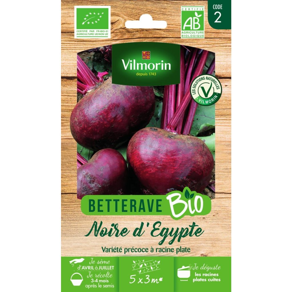 Flat of Egypt Beetroot - Vilmoron Seeds