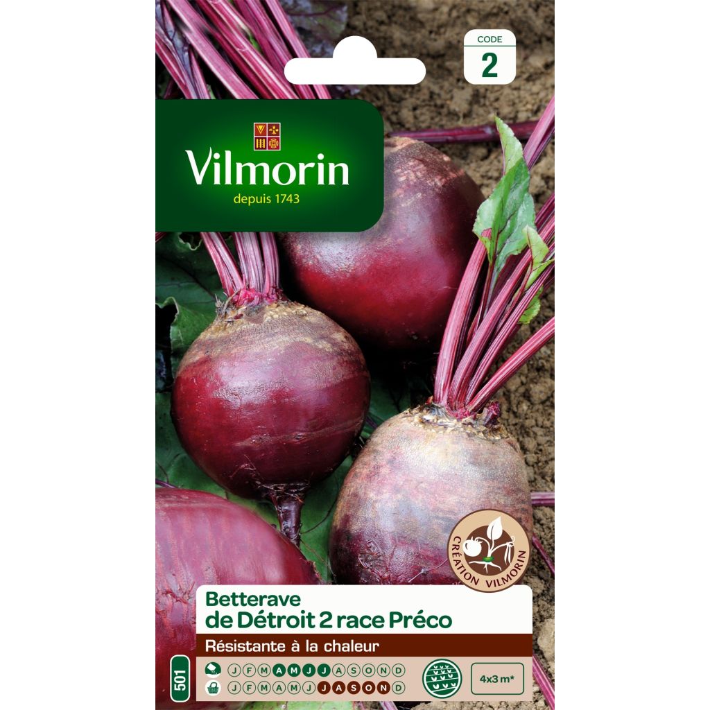 Beetroot Detroit Globe 2 Préco - Vilmorin Seeds seeds