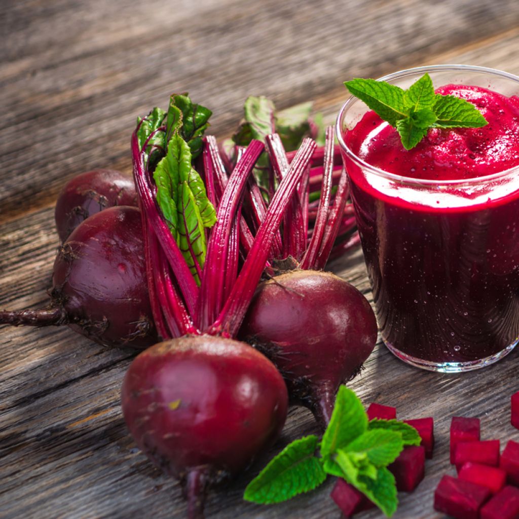 Organic Detroit Improved 2 Bolivar Beetroot - Ferme de Sainte Marthe seeds - Beta vulgaris