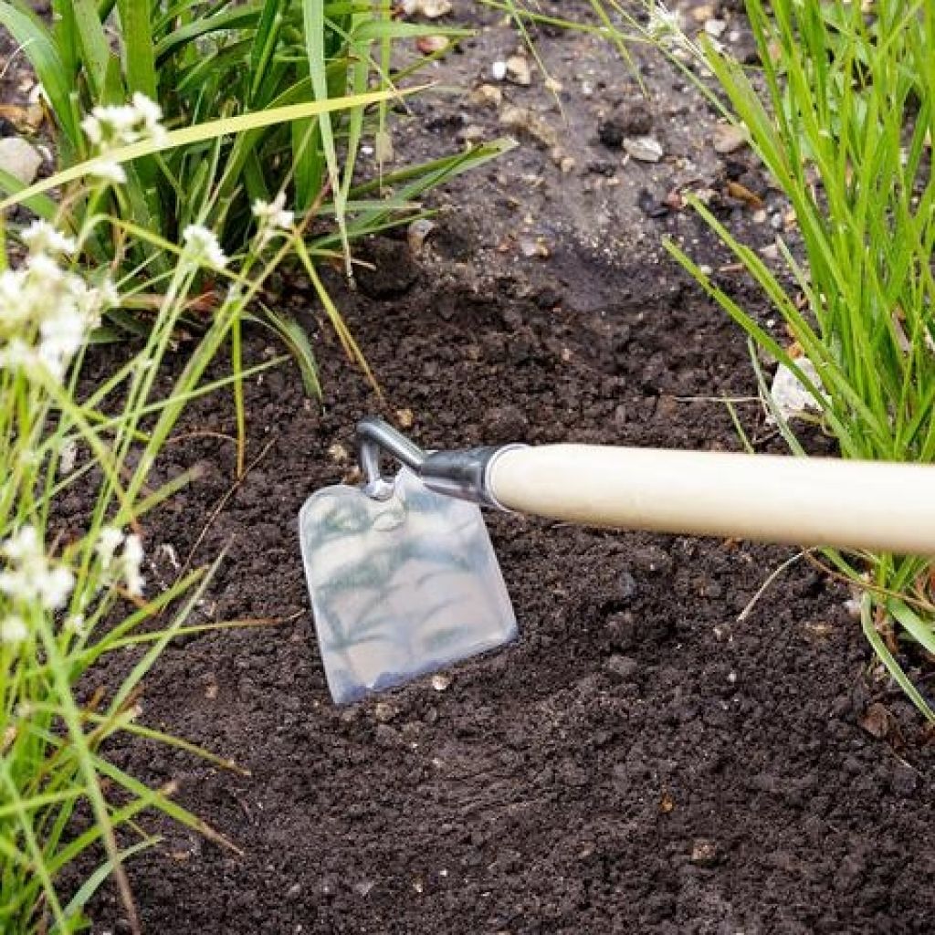 RHS Range - Steel Burgon & Ball Hoe