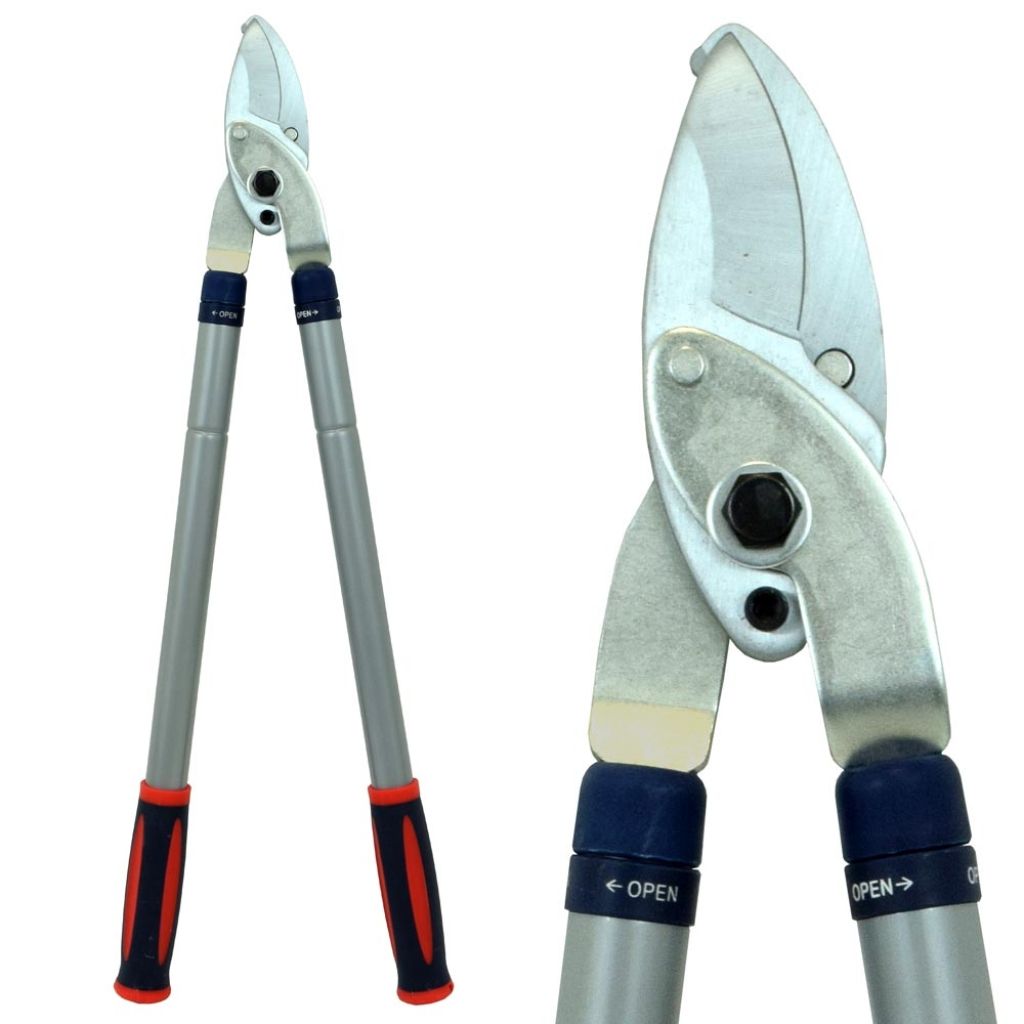 Spear & Jackson telescopic loppers