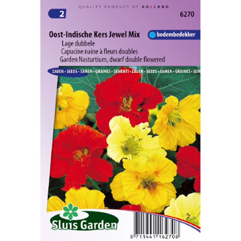 Tropaeolum majus nanum Jewel Mix Seeds - Dwarf Nasturtium