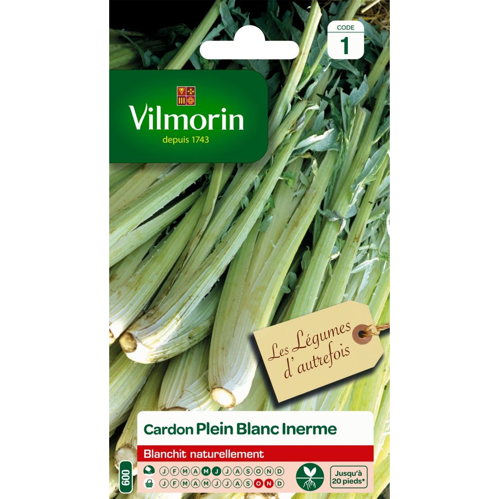 Cardoon Plein Blanc Inerme - Vilmorin Seeds