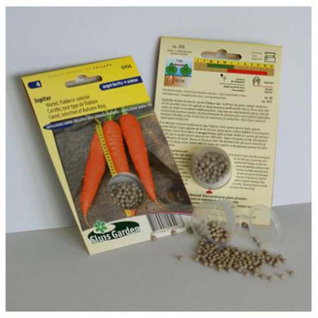 Carrot Jupiter - Pelleted Seeds