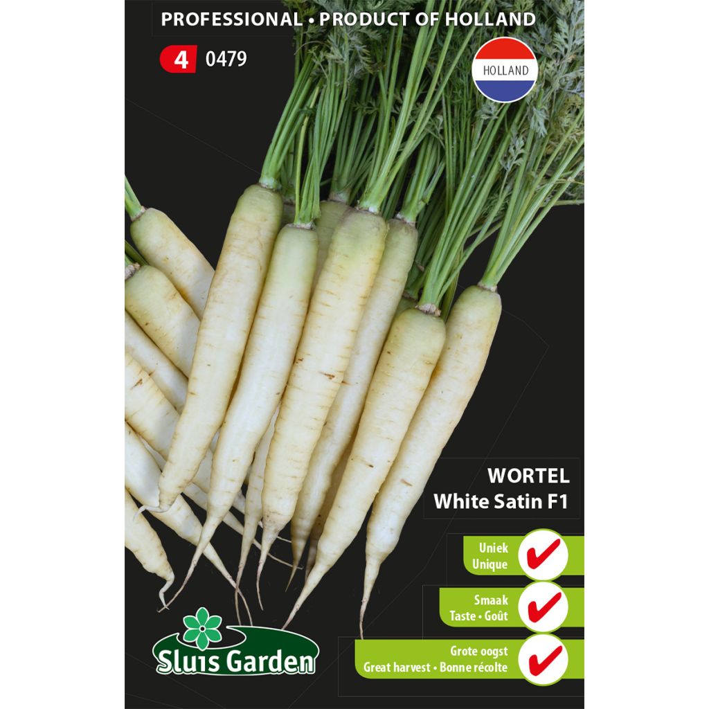 Carrot Purple Haze F1 Seeds