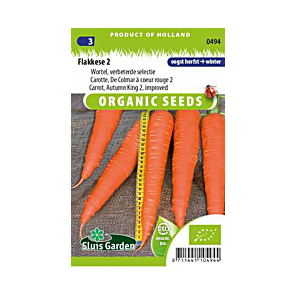 Carrot Autumn King 2