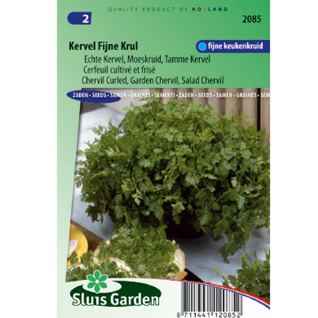 Curled Chervil - Anthriscus cerefolium