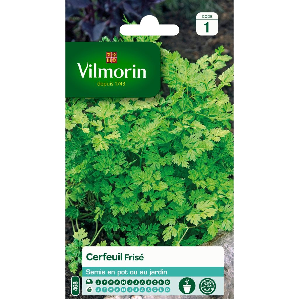 Curled Chervil - Vilmorin Seeds
