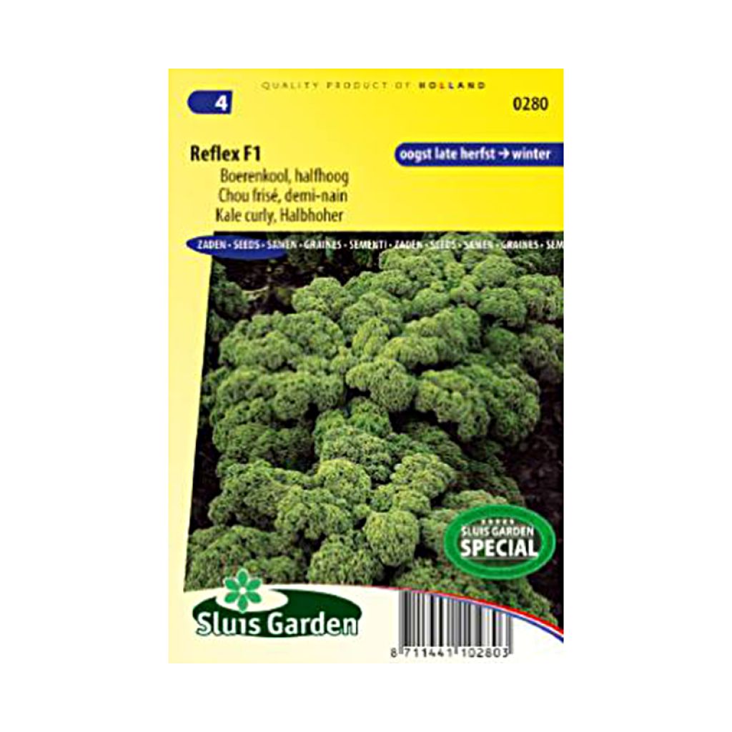 Curly Kale Reflex F1