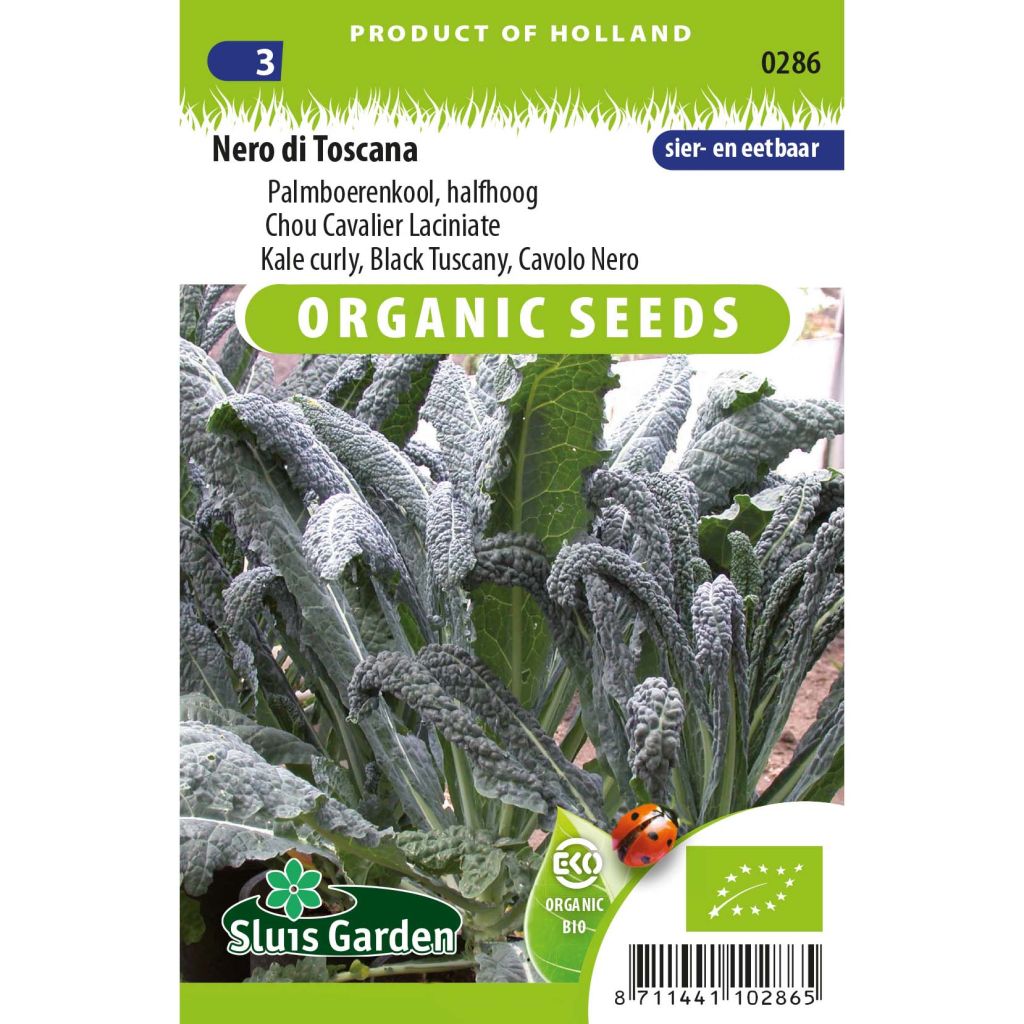Tuscan Kale Nero di Toscana Organic  - Lacinato kale
