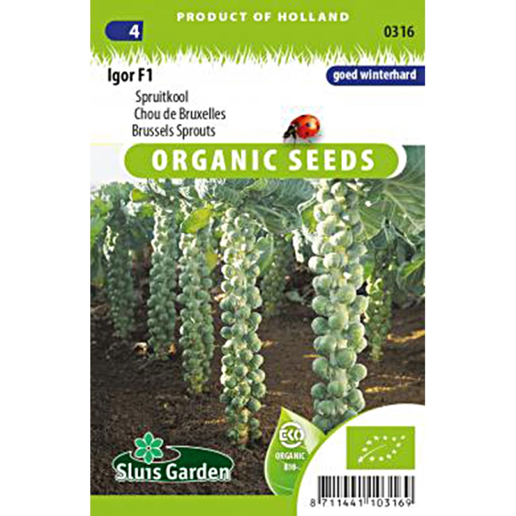 Brussels sprouts Igor F1 Organic