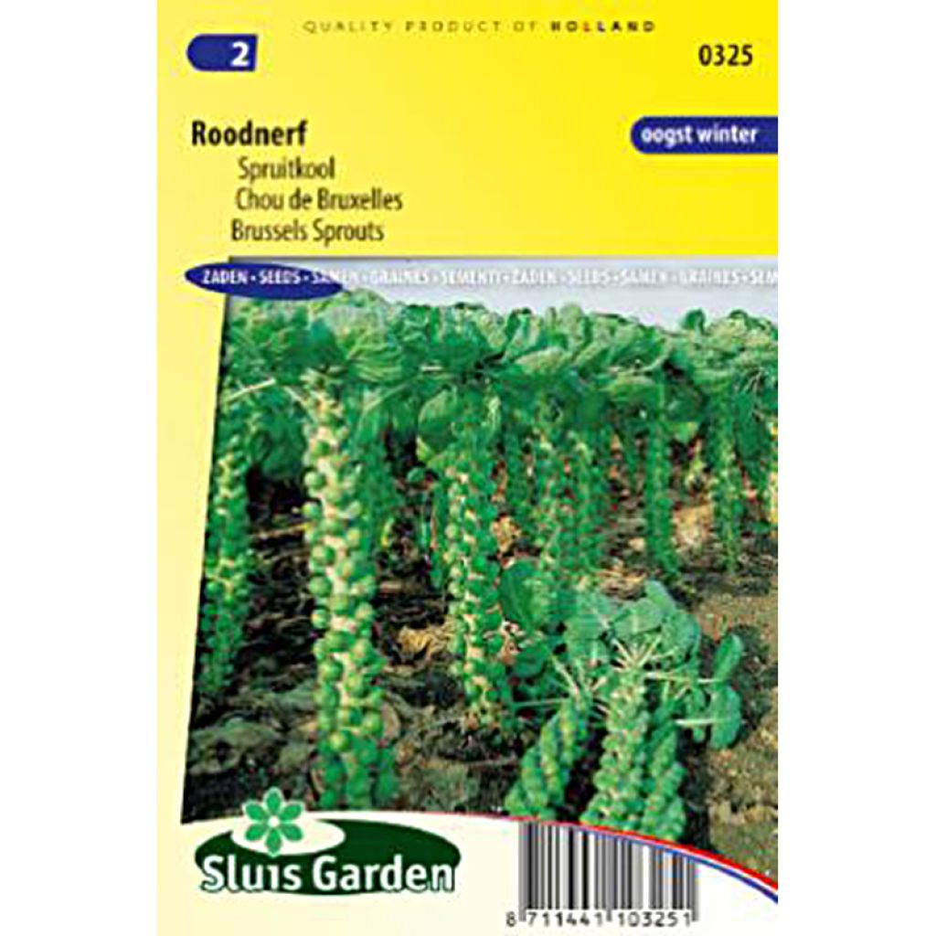 Brussels sprouts Roodnerf