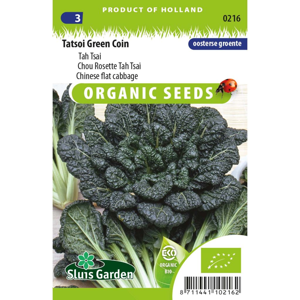 Tatsoi Green Coin - Chinese flat cabbage