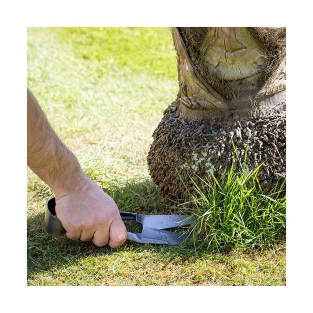 RHS Burgon & Ball Lawn Shears and Boxwood Shears