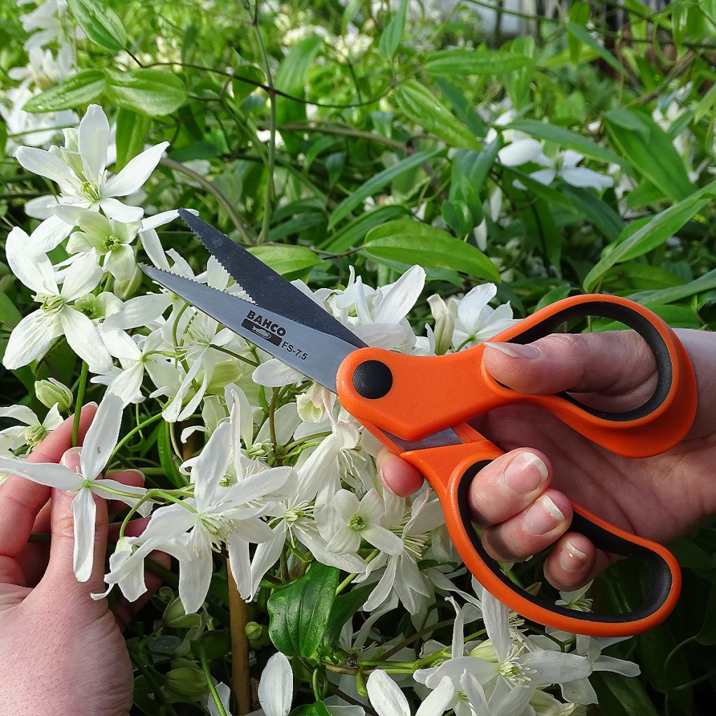 Bahco Flower Scissors with 7.5cm (3in) Blades