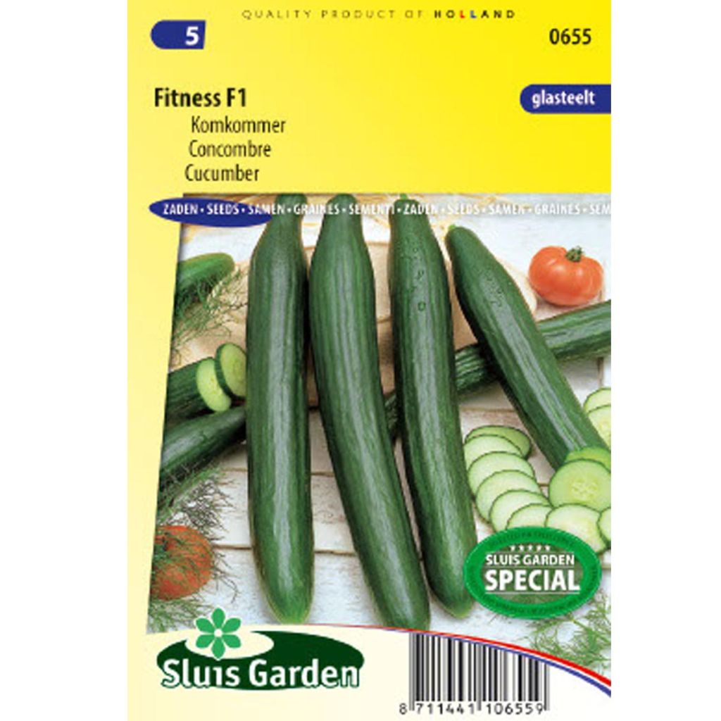 Cucumber Fitness F1 - Cucumis sativus