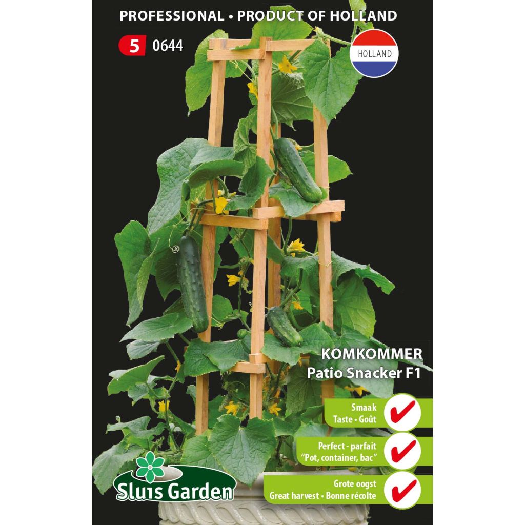 Cucumber Patio Snacker F1