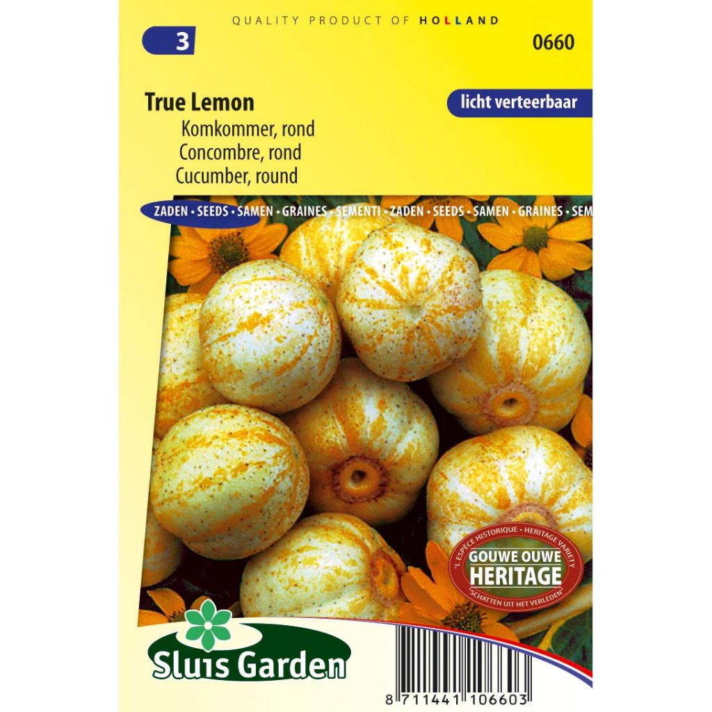Cucumber Lemon