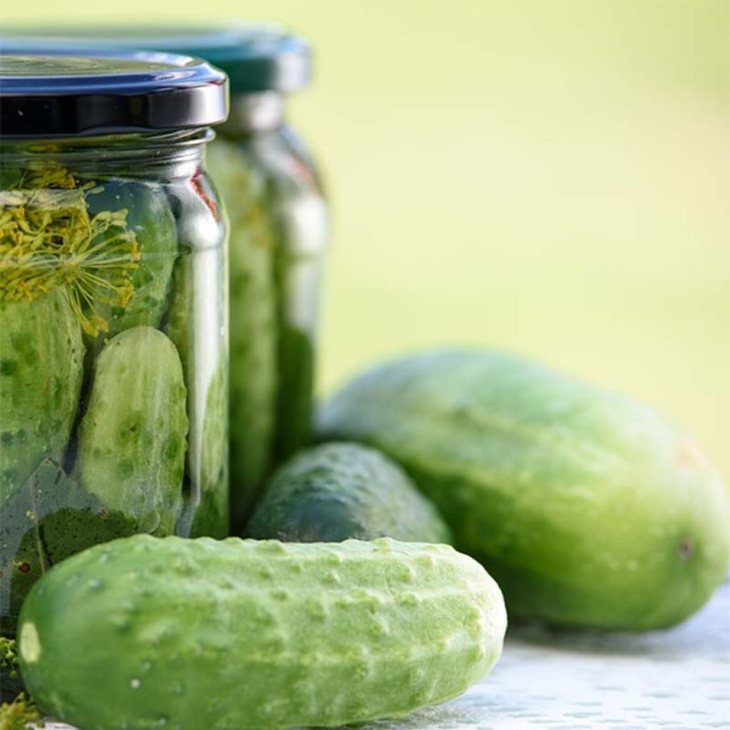 Gherkin Hokus