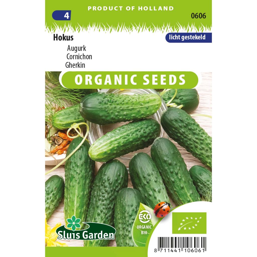 Gherkin Hokus Organic