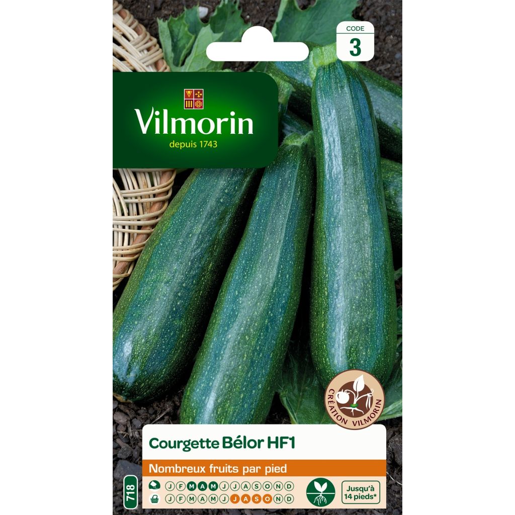 Courgette Belor F1 - Vilmorin Seeds