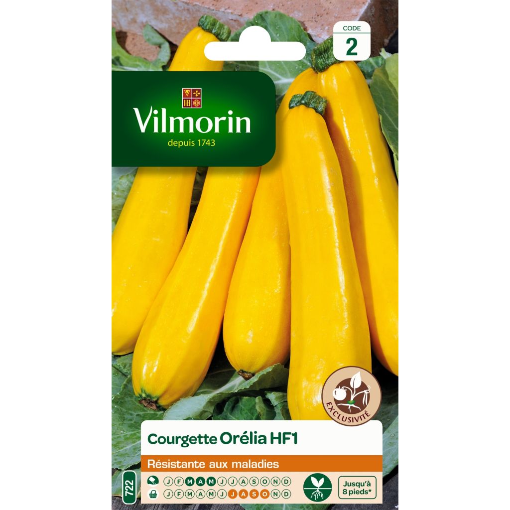 Yellow Courgette Orelia F1 - Vilmorin Seeds