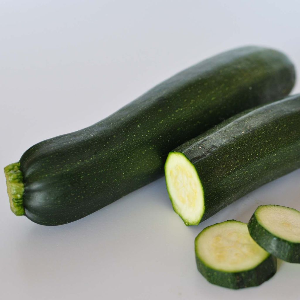 Courgette Verte Non Coureuse des Maraîchers