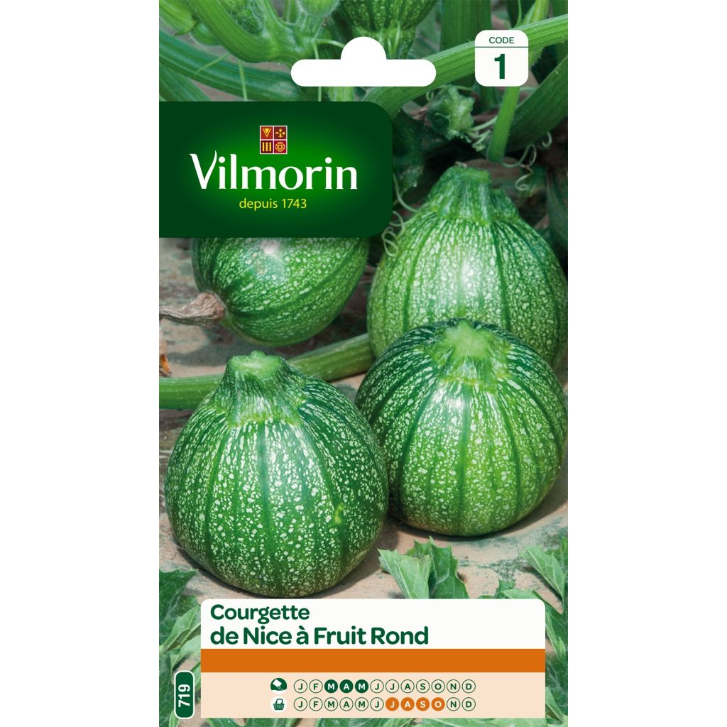 Courgette Nice à fruit rond - Vilmorin Seeds