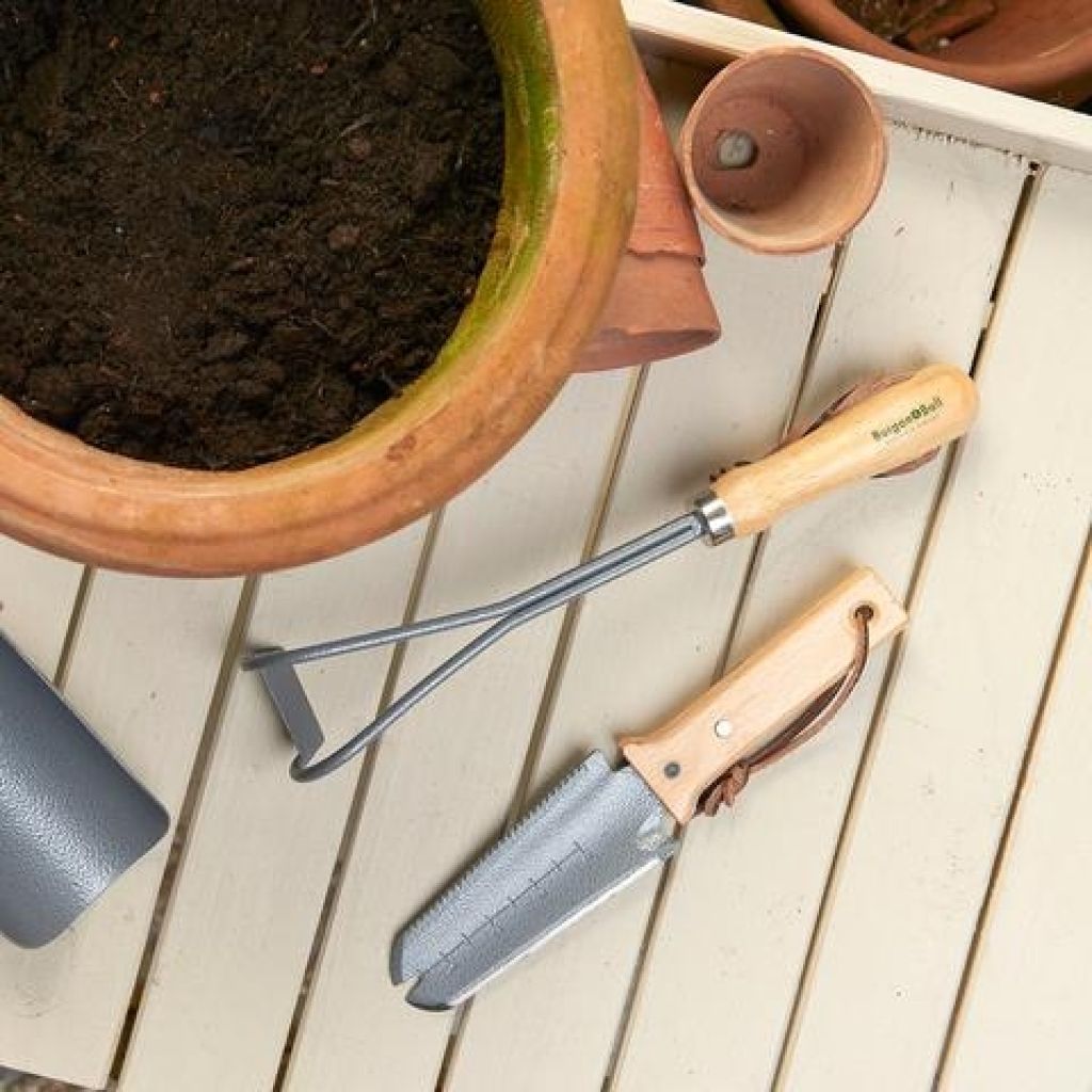 Serrated Weed Knife by Burgon & Ball - RHS Range