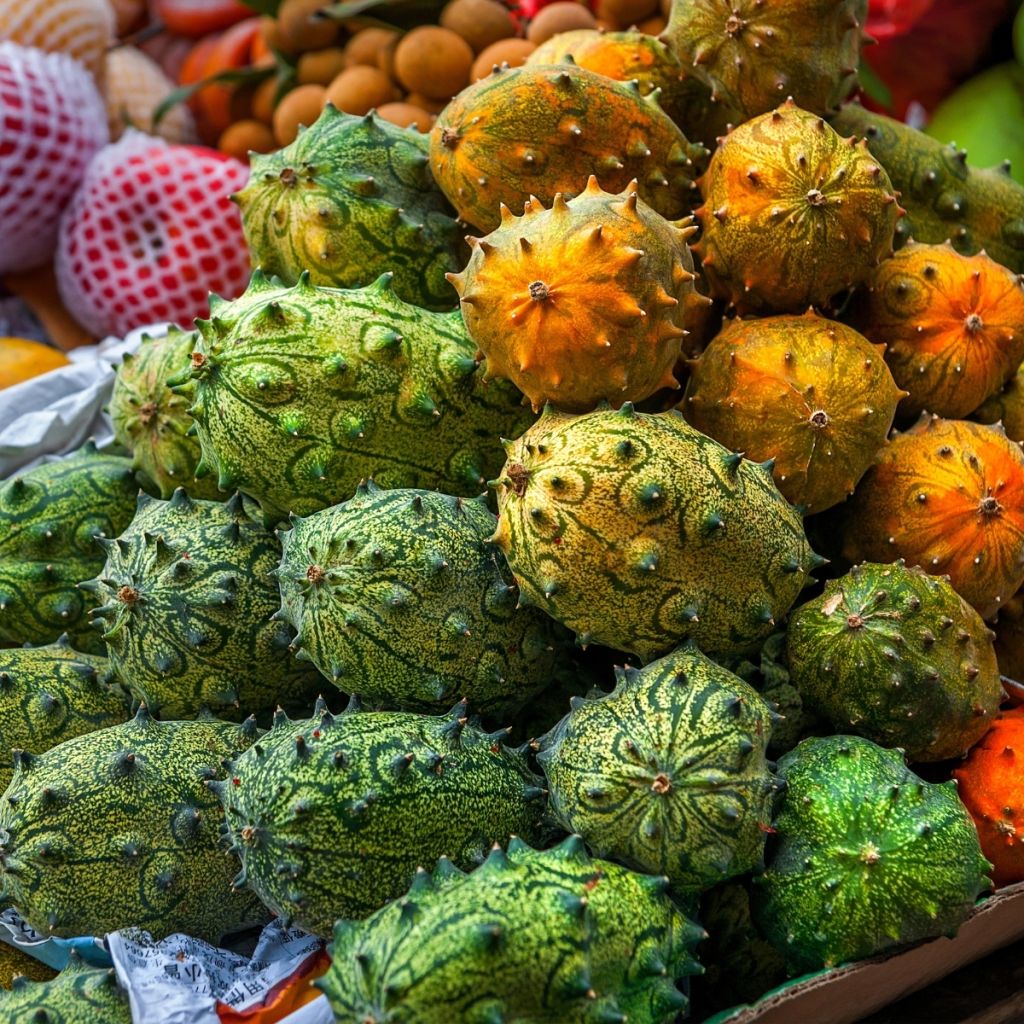 Horned Melon - Cucumis metuliferus