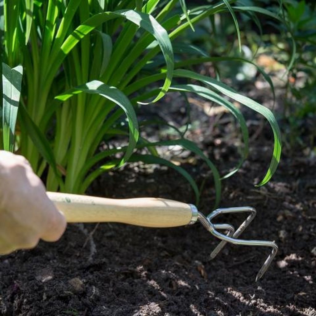 3-tine Cultivator by Burgon & Ball - RHS Range
