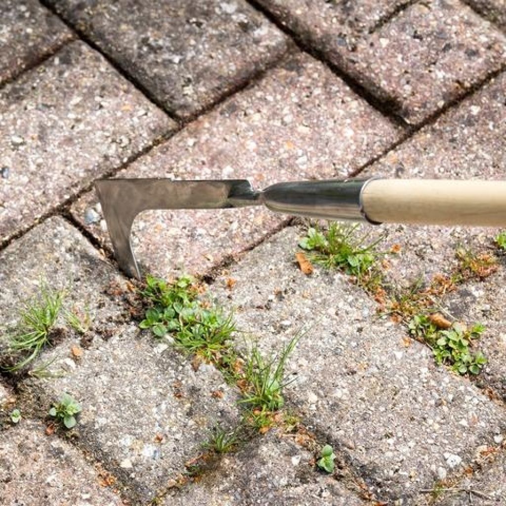 Burgon & Ball RHS Long-Handled Weed Remover