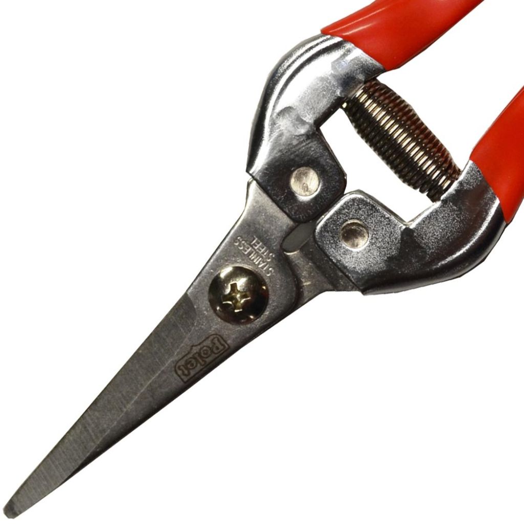 Traditional Polet Fruit Snips