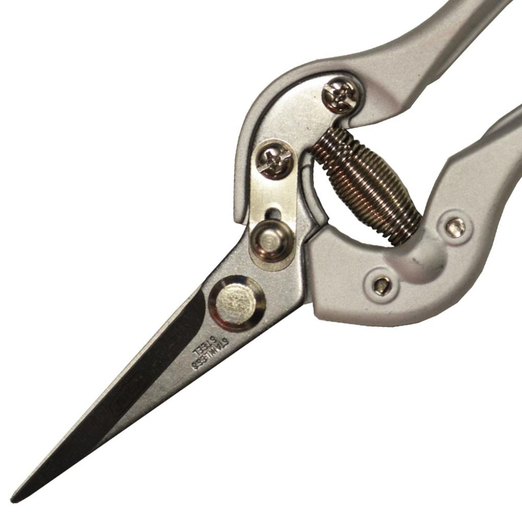 Traditional Polet 20cm (8in) - Fruit Pruning Snips