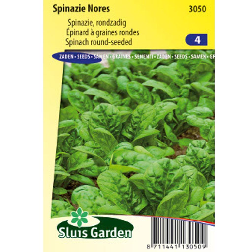 Spinach Nores