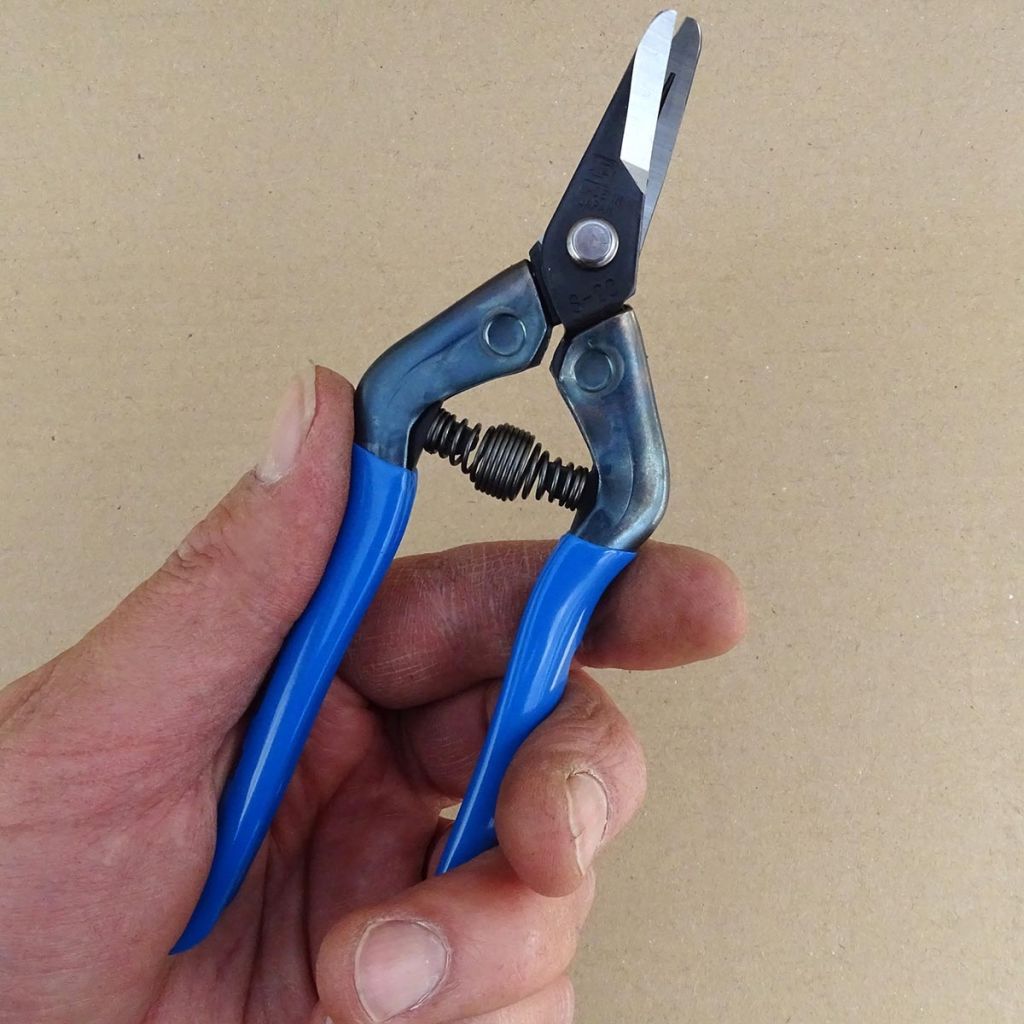 Curved blade spruce - rounded tips.