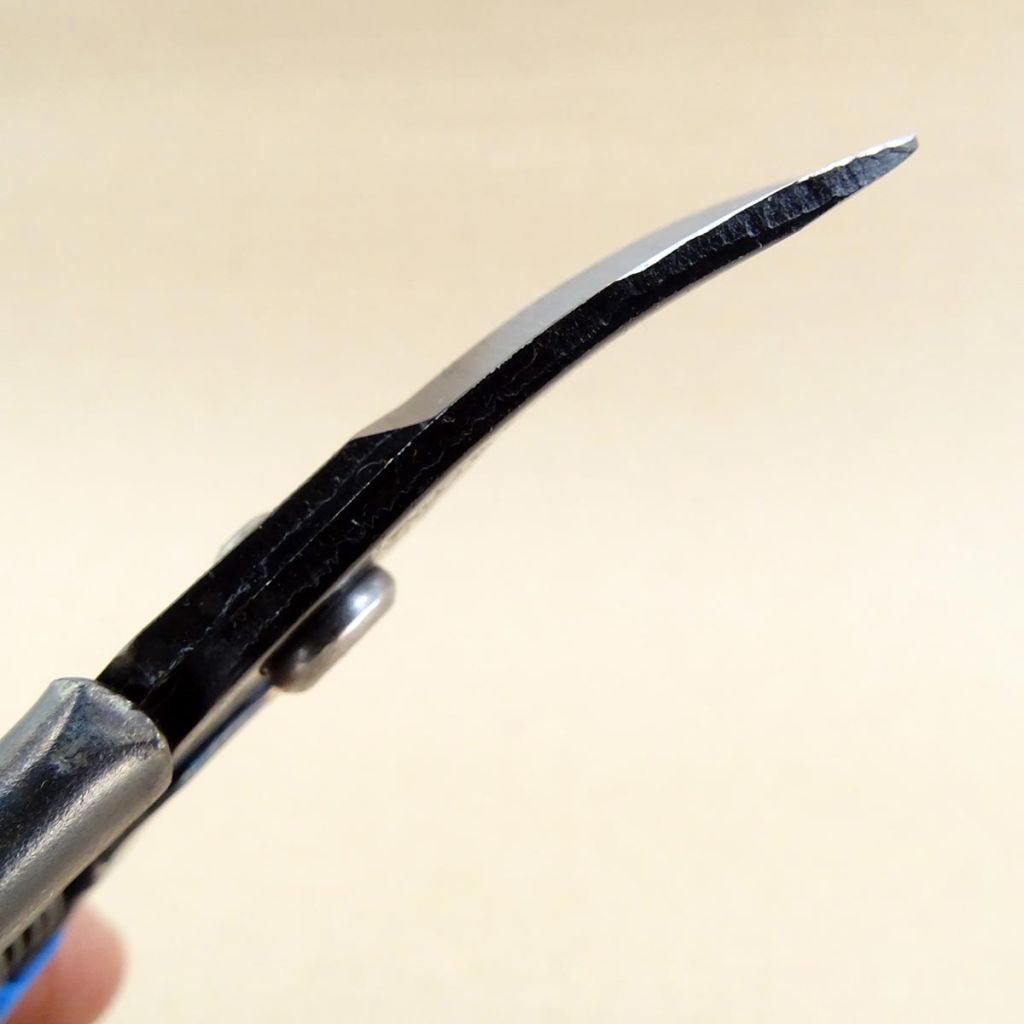 Curved blade spruce - rounded tips.