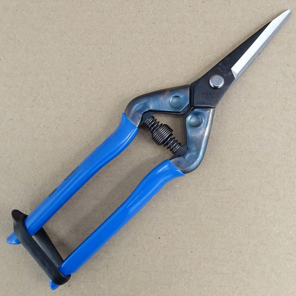 Long-bladed harvesting scissors