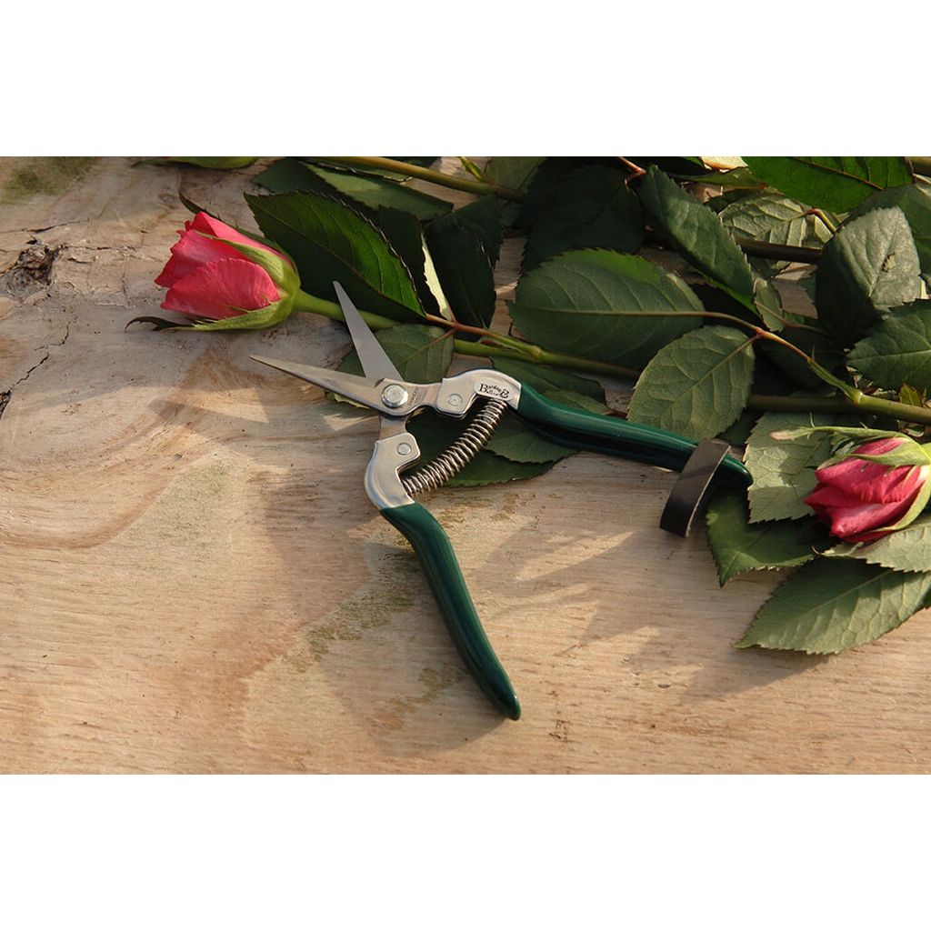 Burgon & Ball Snips for fruits and flowers  - RHS Range.