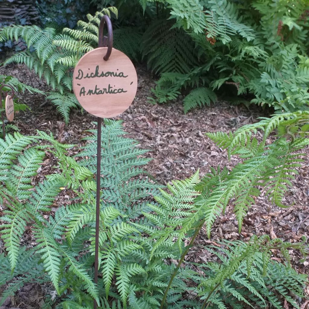 Round Chestnut Hanging Tag Ø9cm