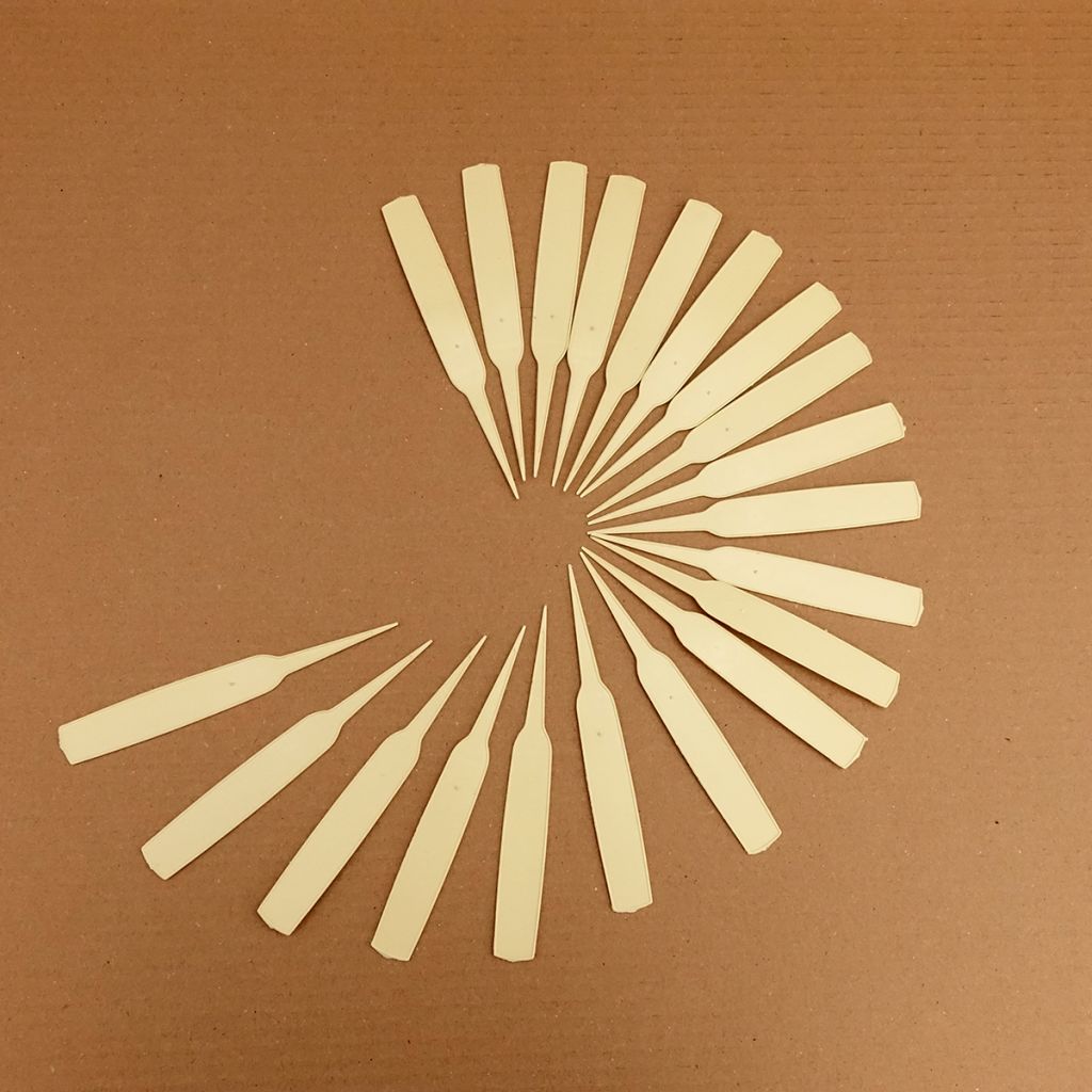 Narrow ivory plant label