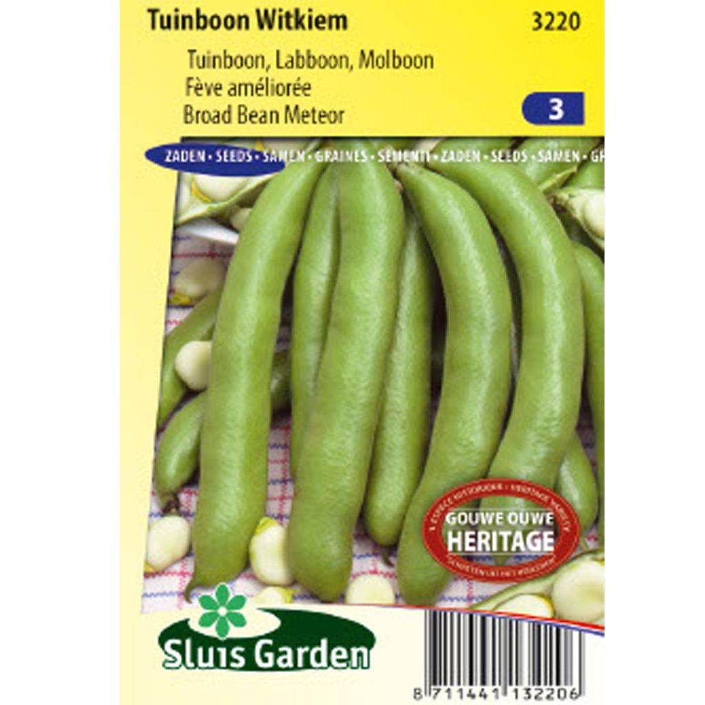 Broad Bean Witkiem