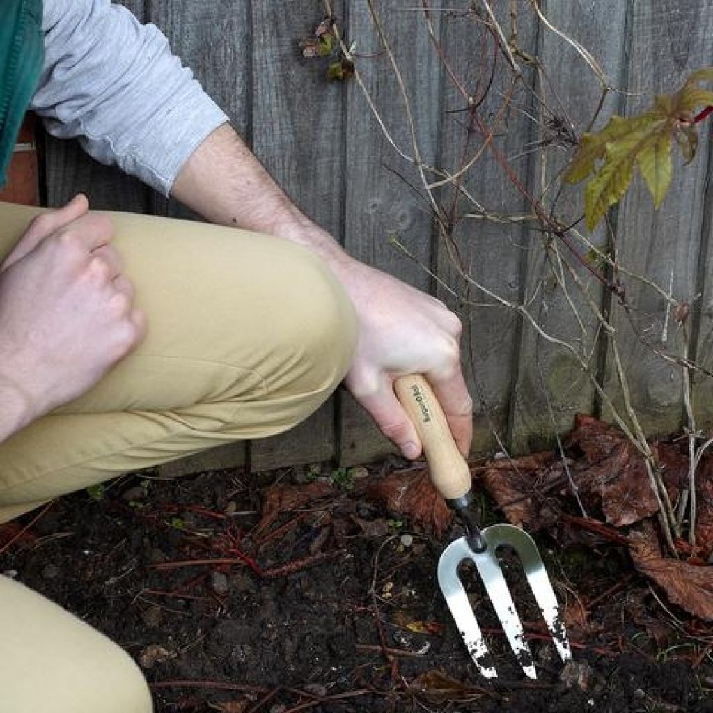 Three-pronged, stainless steel hand fork from Burgon & Ball - RHS Range