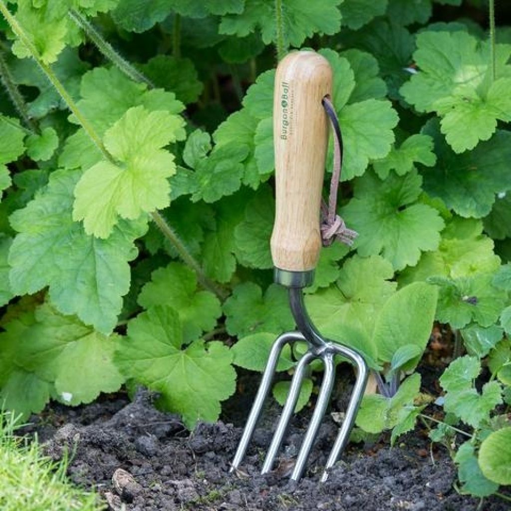 Burgon & Ball 4-tine Hand Fork - RHS range
