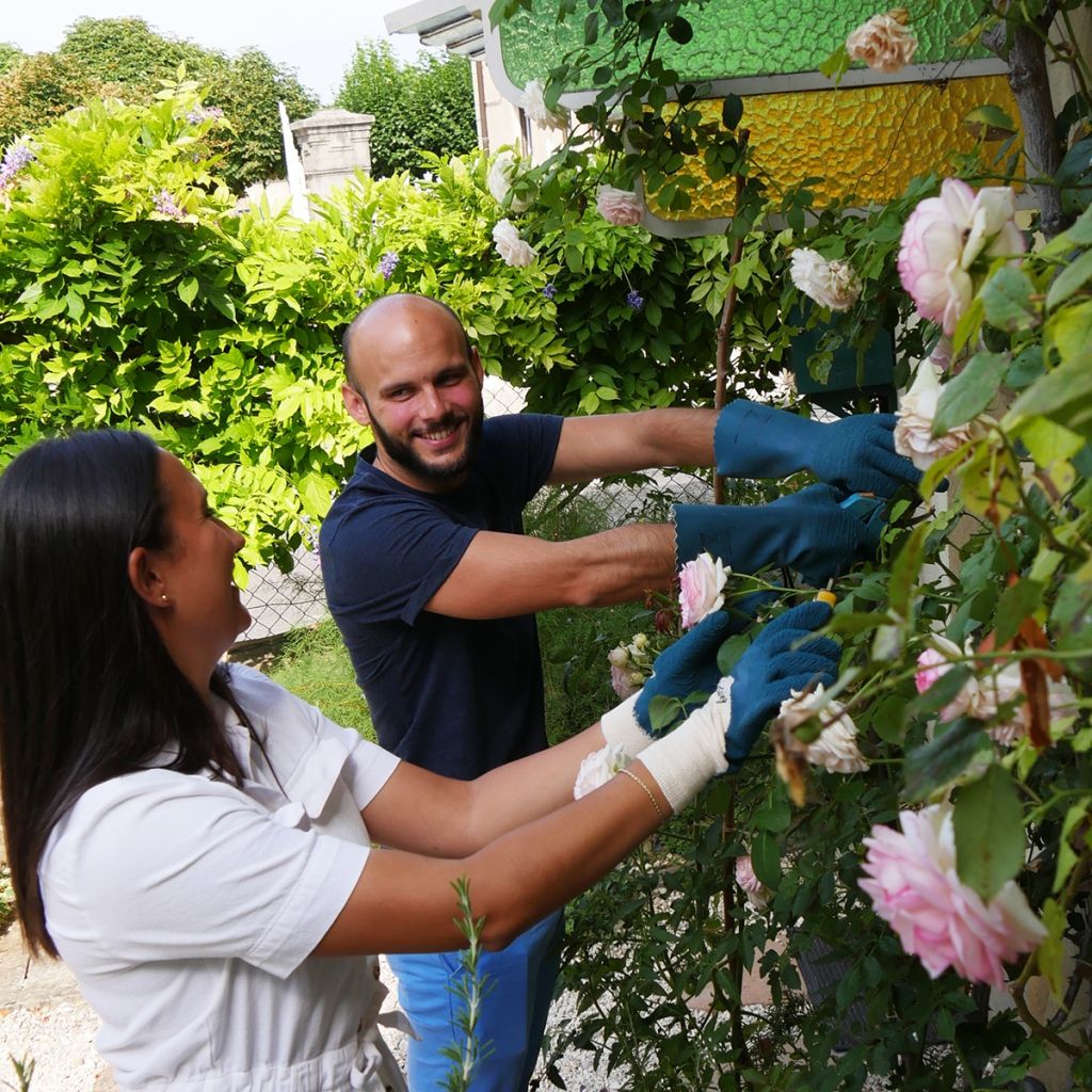 Rostaing long pruning gloves for roses and small thorny plants, ProtectMax blue.