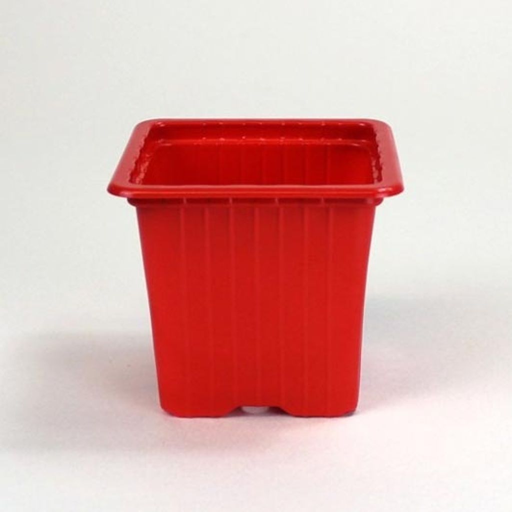 Red Propagation Pots - sold in packs of 30