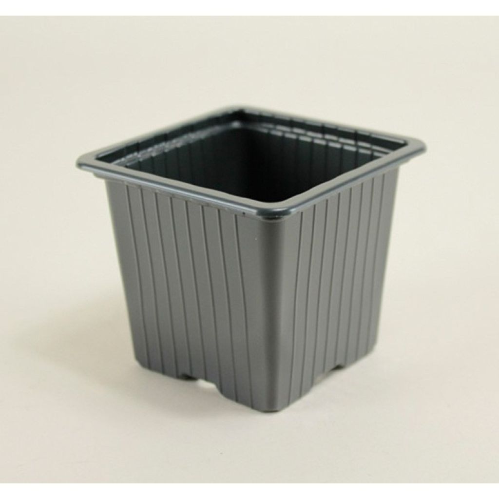Multiple black pots 8 x 8 x 7 cm (3in) - sold in packs of 30